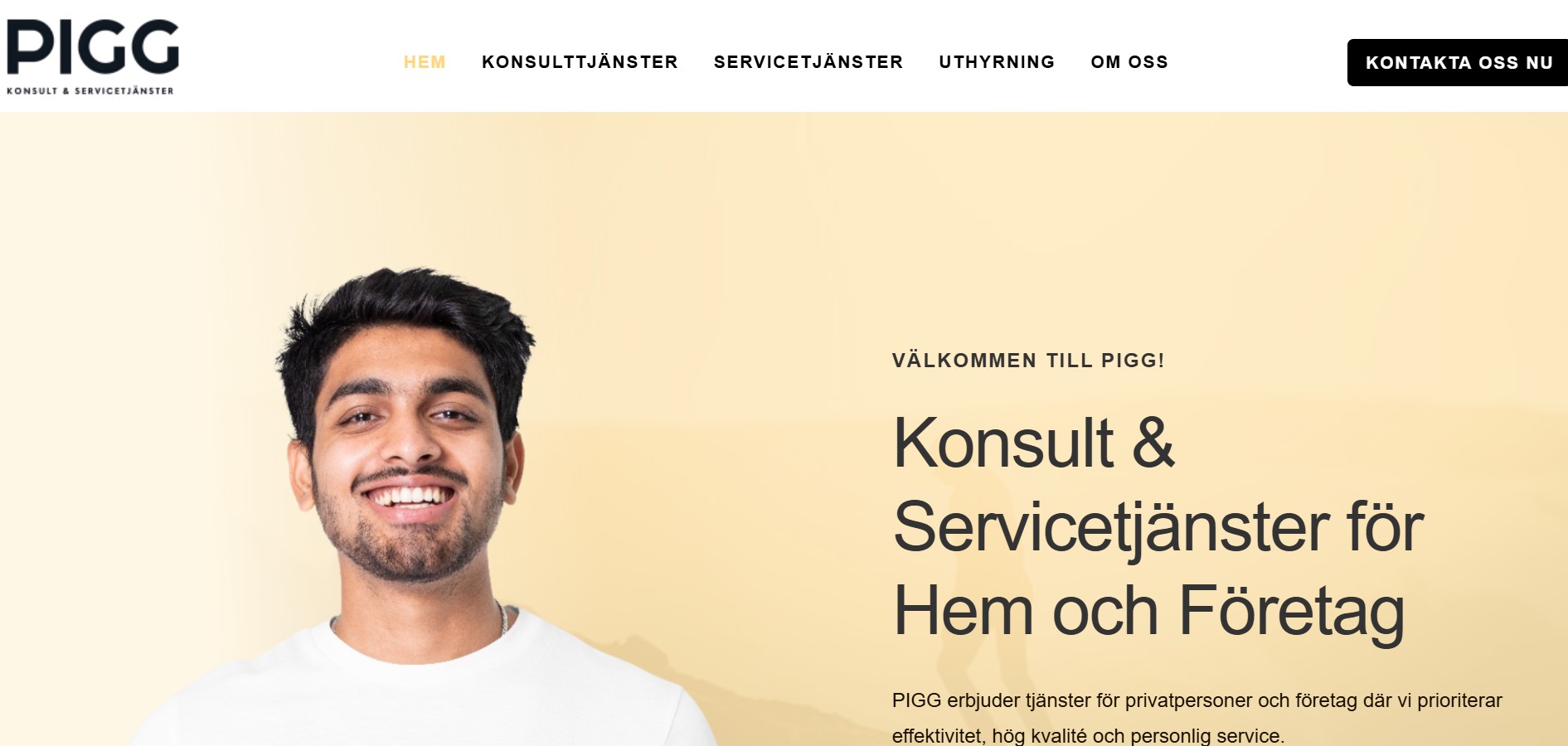 Piggservice – Plumbing & Renovation Experts